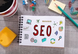 ۱۷ نکته الزامی از اینفلوئنسرهای موفق اینستاگرام و حیوانات خانگی‌شان: راهنمای جامع