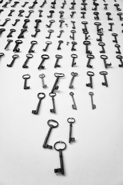 17 انیمیشن برتر کمدی از نگاه IMDB که اشک‌تون رو درمیارن!